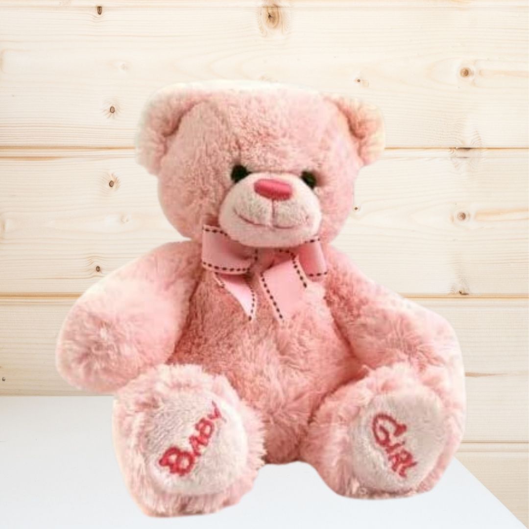 Teddy bears for baby hot sale girls